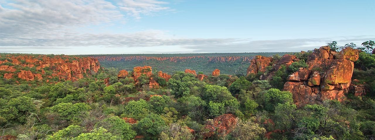The Waterberg escarpment — red sandstone outcrops and dense green bushveld stretching to a distant plateau under an open sky.